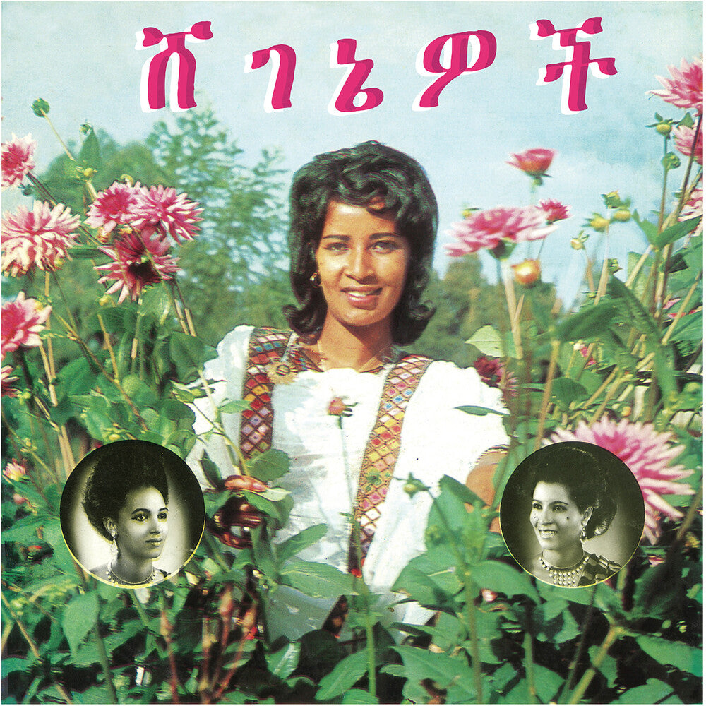 Aselefech Ashine - Beauties (LP)