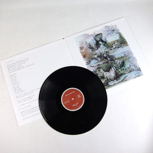 Bon Iver: Bon Iver, Bon Iver