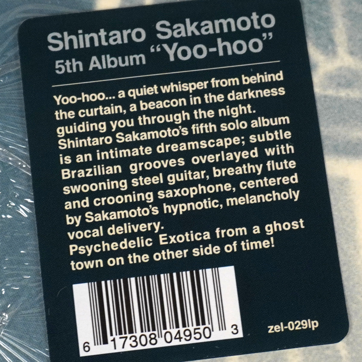 Shintaro Sakamoto: Yoo-hoo