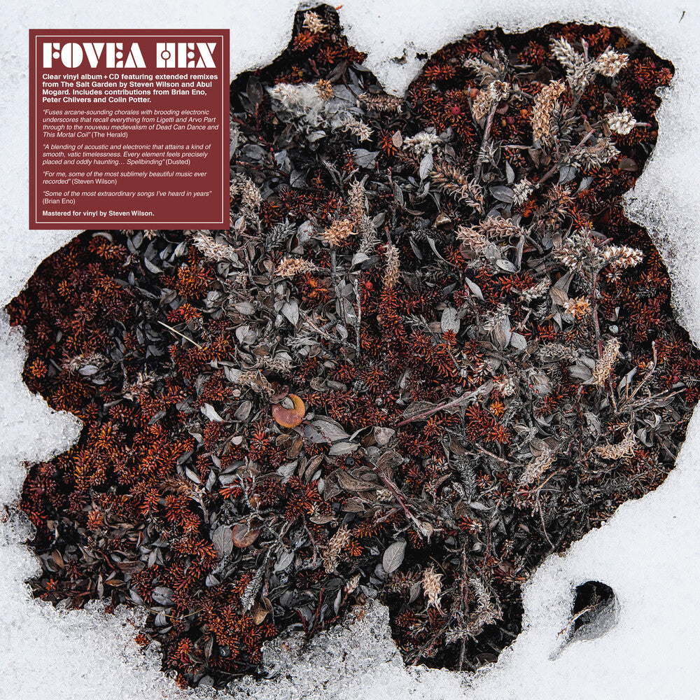 Fovea Hex - Salt Garden (Clear Vinyl) (W/Cd) (Clear Vinyl)