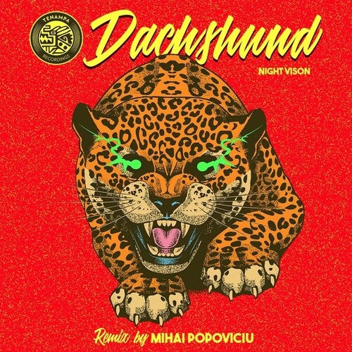 Mihai Popoviciu Dachshund - Night Vision