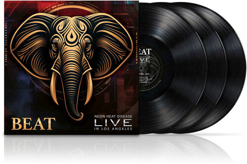 The Beat - BEAT Live
