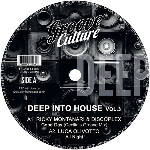 Various Artists - Deep Into House Vol. 3 / Various