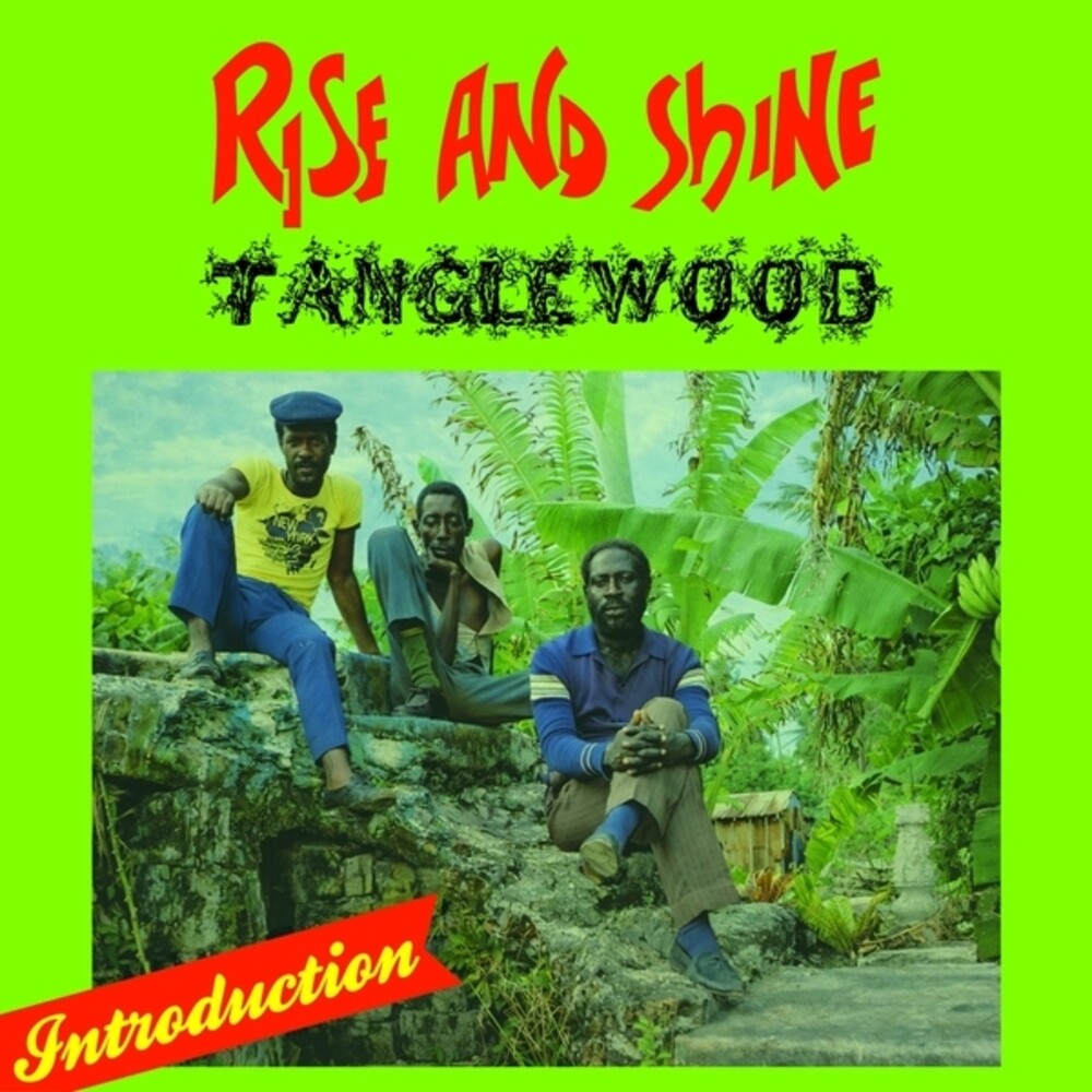 Tanglewood - Rise & Shine (LP)