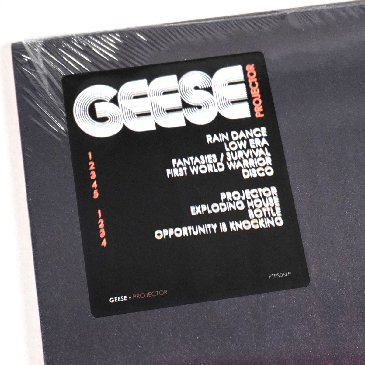 Geese: Projector